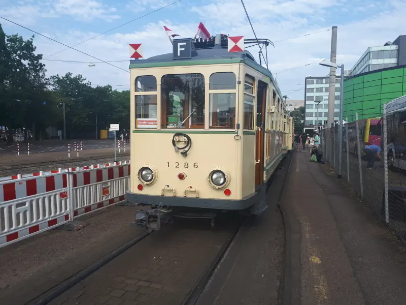 Finchen auf dem Betriebshof West